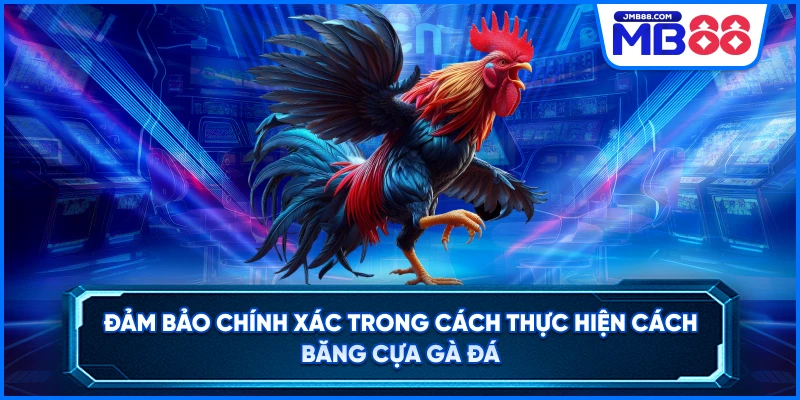 Đảm bảo chính xác trong cách thực hiện cách băng cựa gà đá